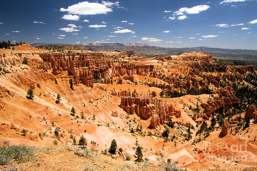 Bryce Canyon Photograph by Adam Jewell