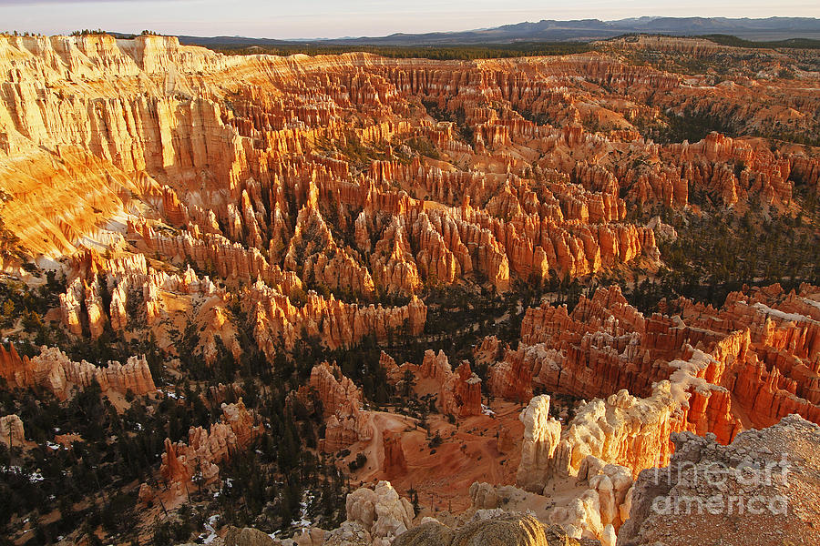 National Parks Photograph - Bryce Canyon Amphitheater by Dennis Hedberg