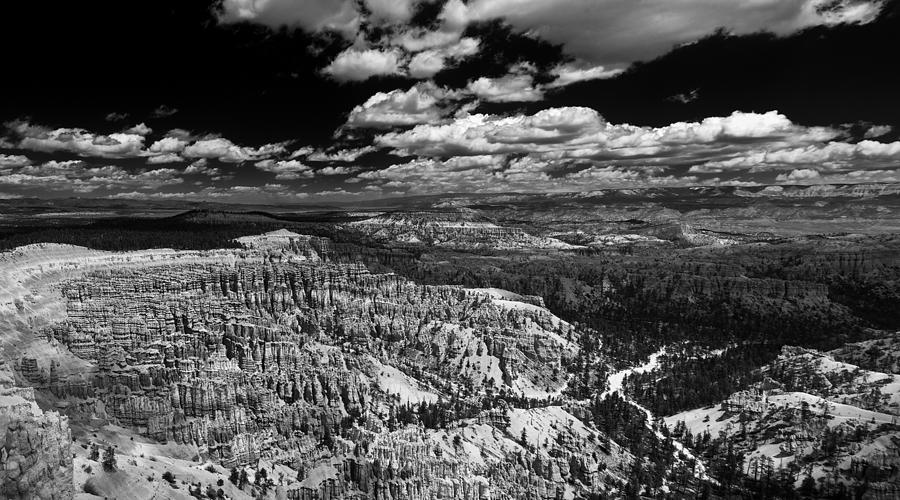 Bryce Canyon Ampitheater - Black and White Photograph by Larry Carr