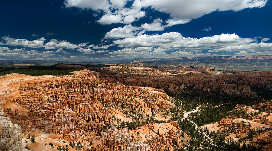 Bryce Canyon Ampitheater Photograph by Larry Carr