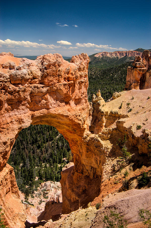 Bryce Canyon Arch Photograph by Larry Carr