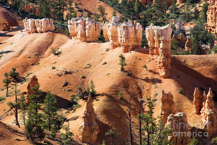 Bryce Canyon Army Photograph by Adam Jewell