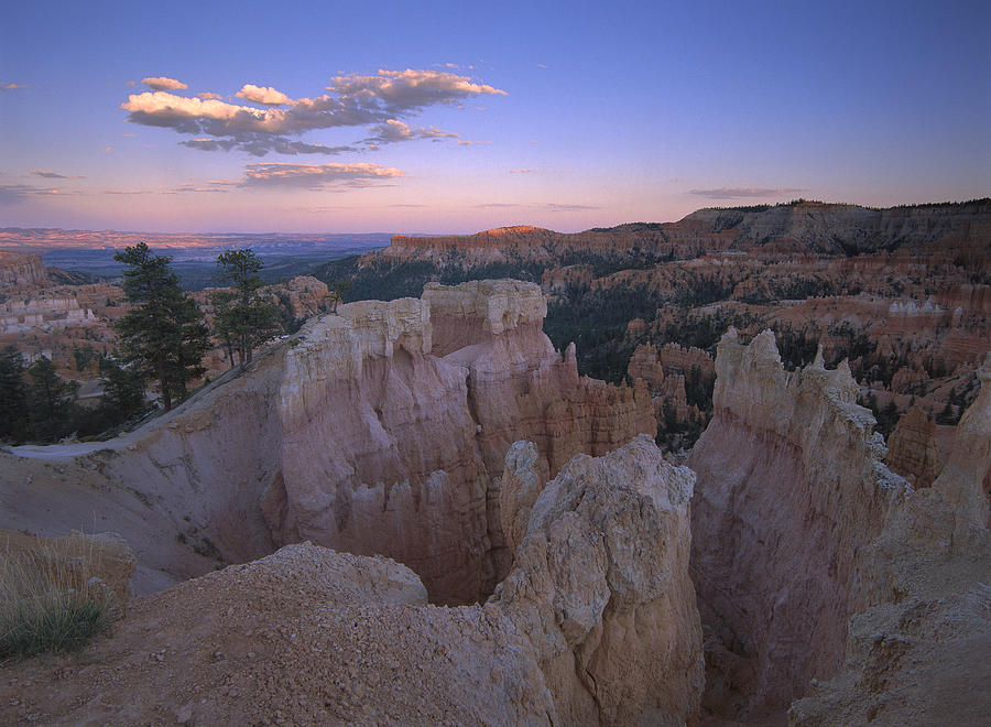 Bryce Canyon As Seen From Bryce Point Photograph by Tim Fitzharris