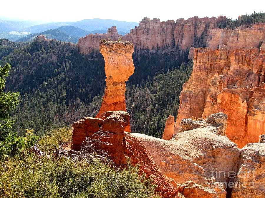 Bryce Canyon Beauty Photograph by Marilyn Smith