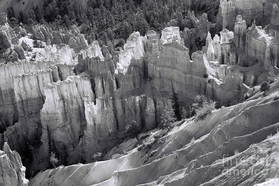 Bryce Canyon BW Photograph by Chuck Kuhn