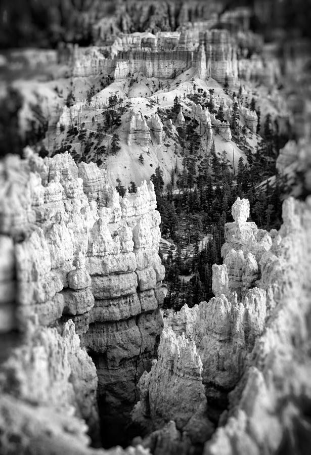 Bryce Canyon BW Photograph by James Bethanis