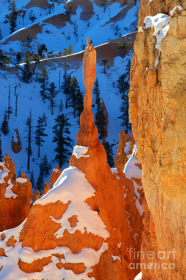 Bryce Canyon Winter 10 Photograph by Bob Christopher