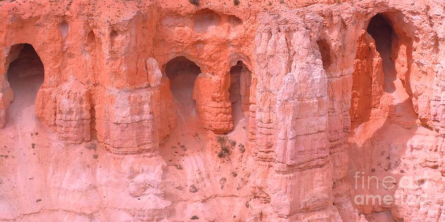 Bryce Canyon Grottos Photograph by Ann Johndro-Collins