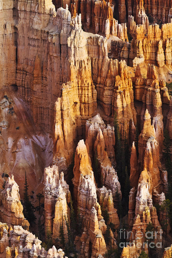 National Parks Photograph - Bryce Canyon Hoodoos by Dennis Hedberg