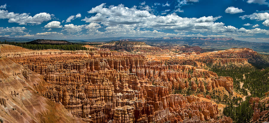 Bryce Canyon Photograph by Larry Carr