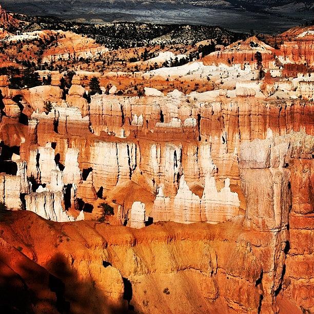 Bryce Canyon Photograph by Luisa Azzolini
