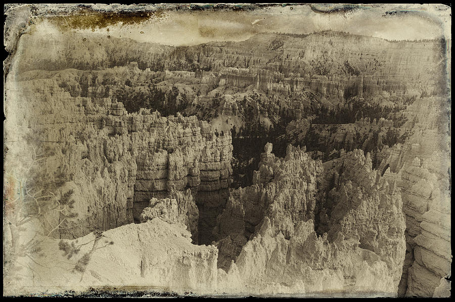 Bryce Canyon No 606 Photograph by James Bethanis