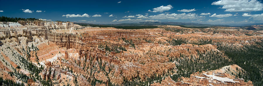 Bryce Canyon Panaramic Photograph by Larry Carr