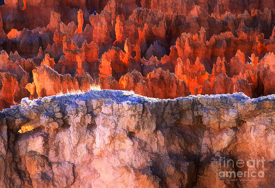 Bryce Canyon Patterns Photograph by Clare VanderVeen