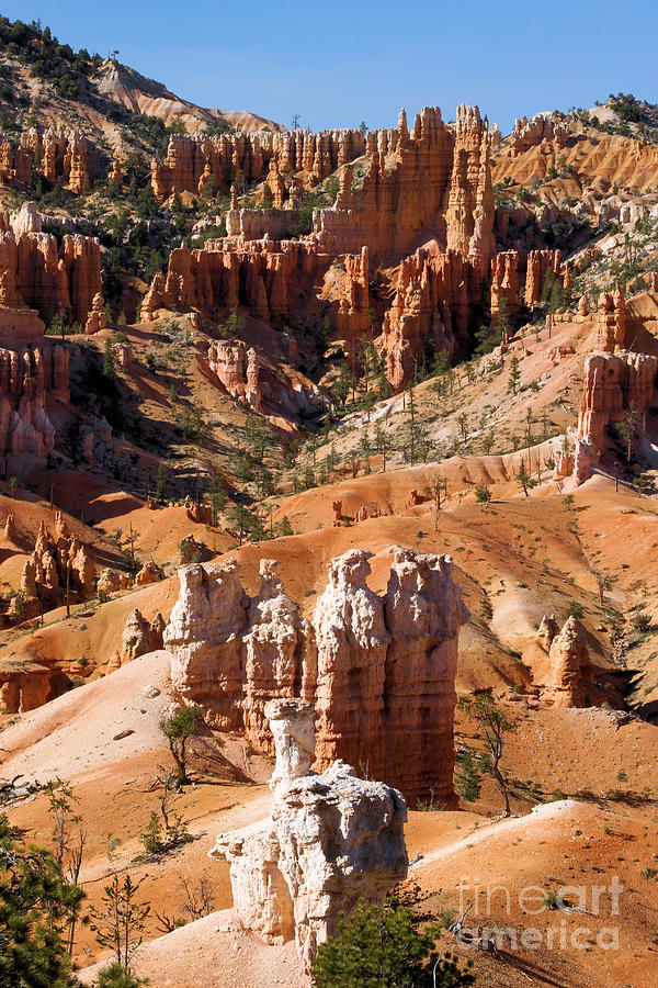 Bryce Canyon Portrait Photograph by Adam Jewell