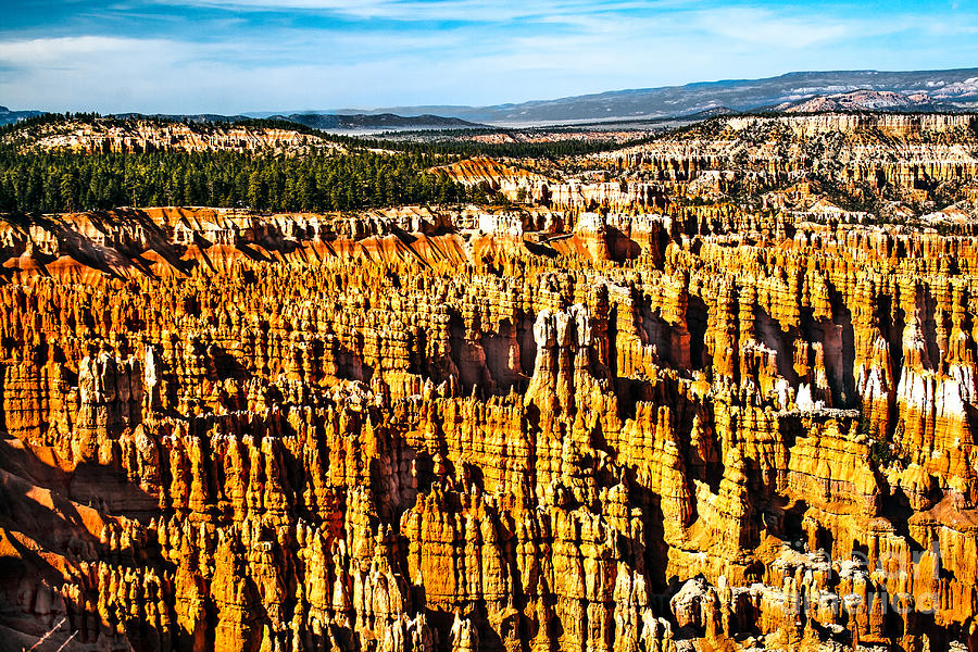 Bryce Canyon Photograph by Robert Bales
