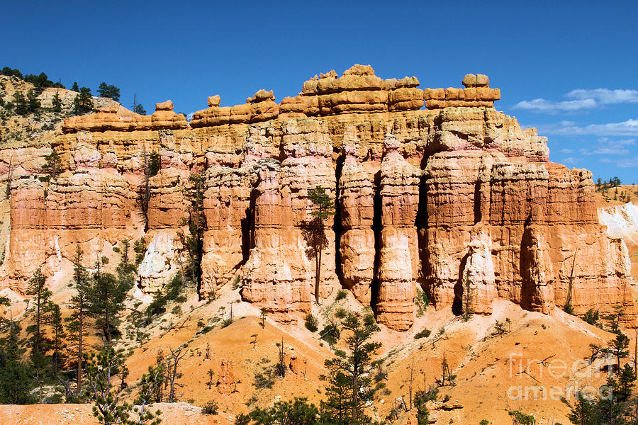 Bryce Canyon Towers Photograph by Adam Jewell