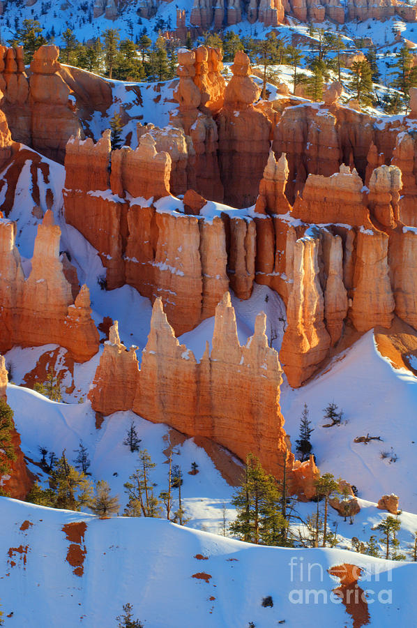 Bryce Canyon Winter 12 Photograph by Bob Christopher