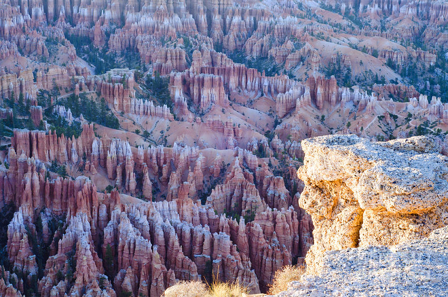 Bryce Canyon National Park Photograph - Bryce Point by Joseph Rossi