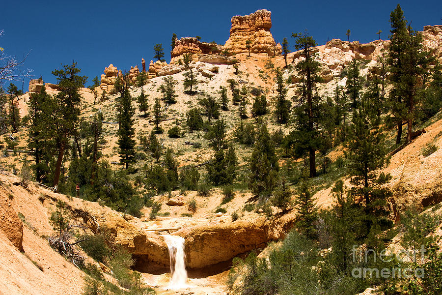 Bryce Water Canyon Photograph by Adam Jewell
