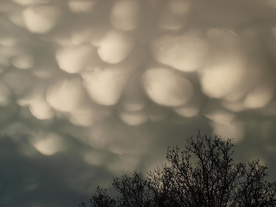 Bubble Clouds Photograph by Heather Farr | Fine Art America