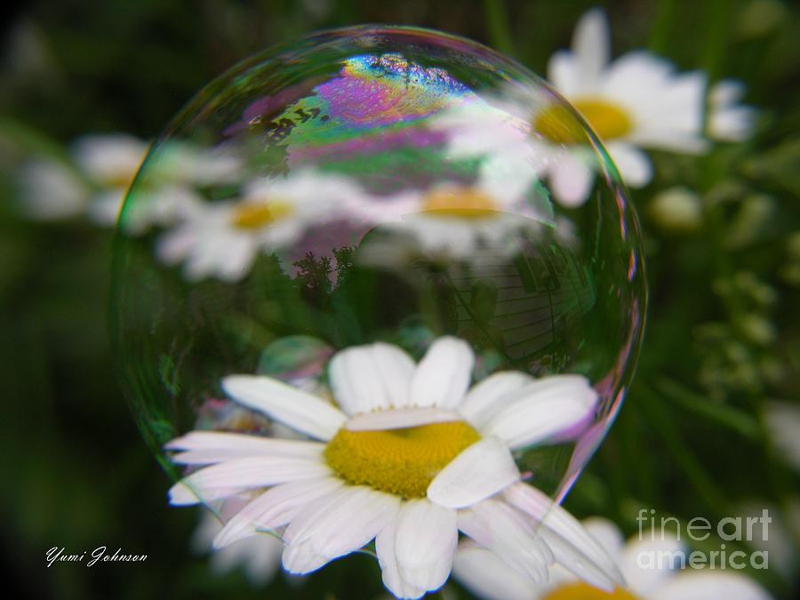 Bubble on the Daisy Photograph by Yumi Johnson