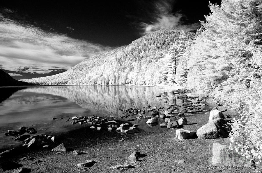 Bubble Pond Photograph by Corrie Zacharias - Fine Art America