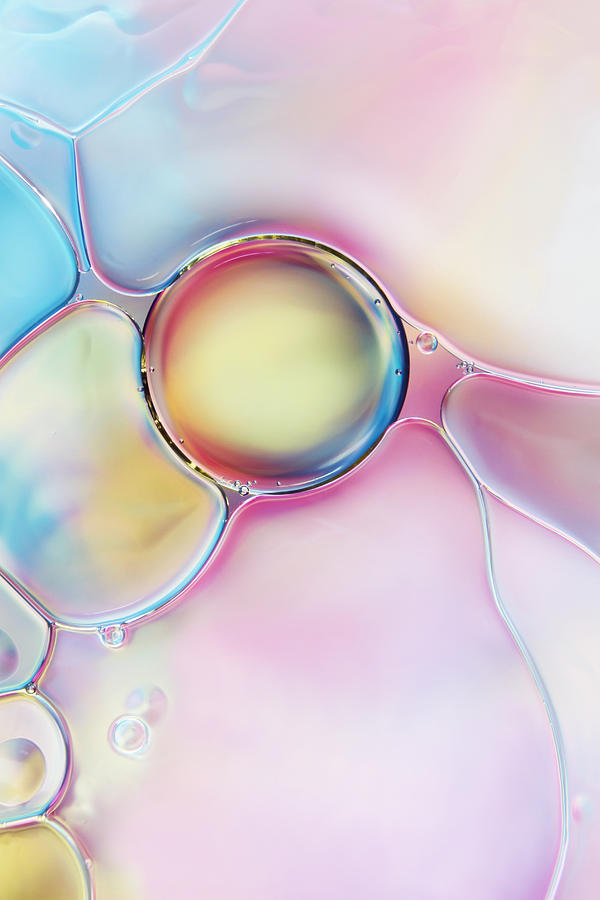 Bubble Photograph by Sharon Johnstone
