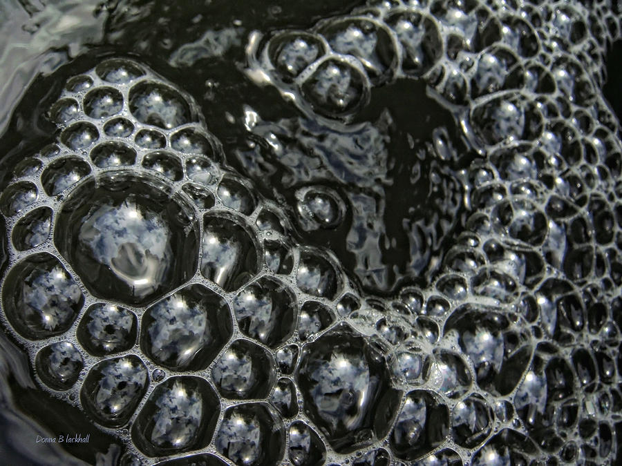 Bubble Wrap Photograph by Donna Blackhall