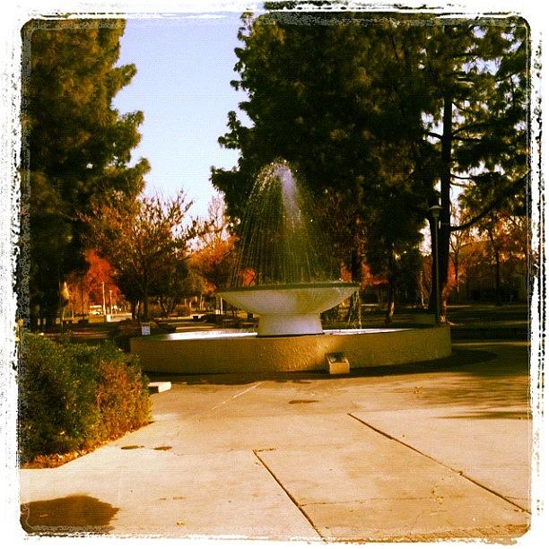 Bubbles In The Fountain... Classic! Photograph by Megan Obrien