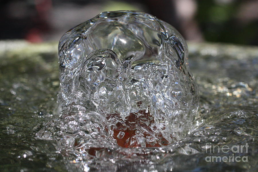Bubbling  Photograph by C Nakamura