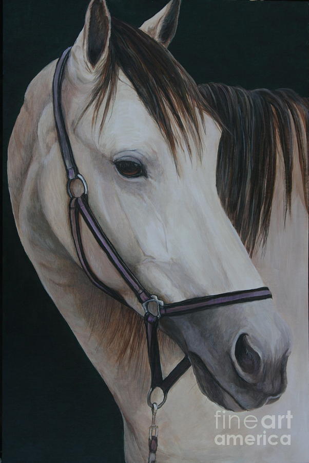 Buck Skin Horse Portrait Painting by Charlotte Yealey