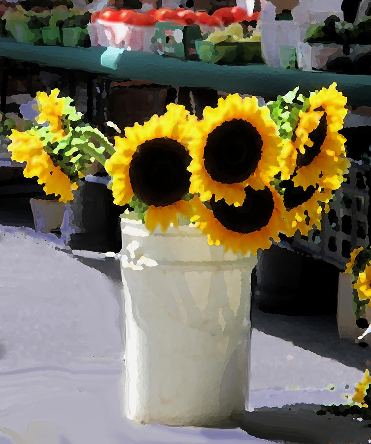Cambridge Photograph - Bucket Of Sunflowers by Ian  MacDonald