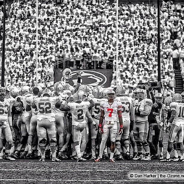 Undefeated Photograph - Buckeyes Went #undefeated Under by Joel Torres