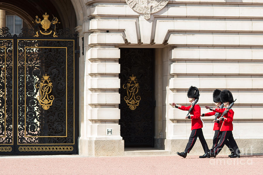 London Photograph - Buckingham palace guards by Andrew  Michael