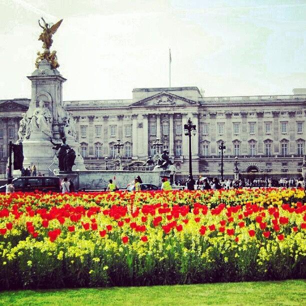 London Photograph - Buckingham Palace in the Spring by Lottie H