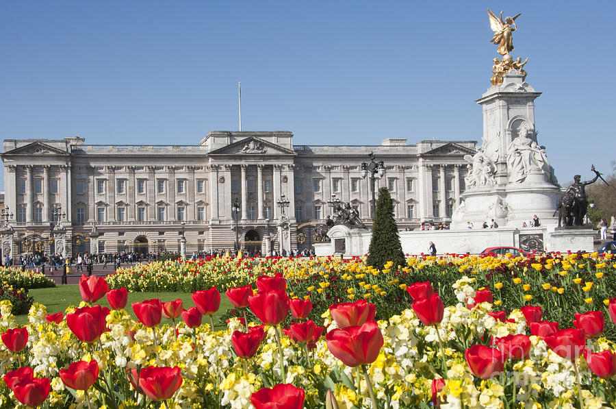 Buckingham palace in the Spring time Photograph by Andrew  Michael