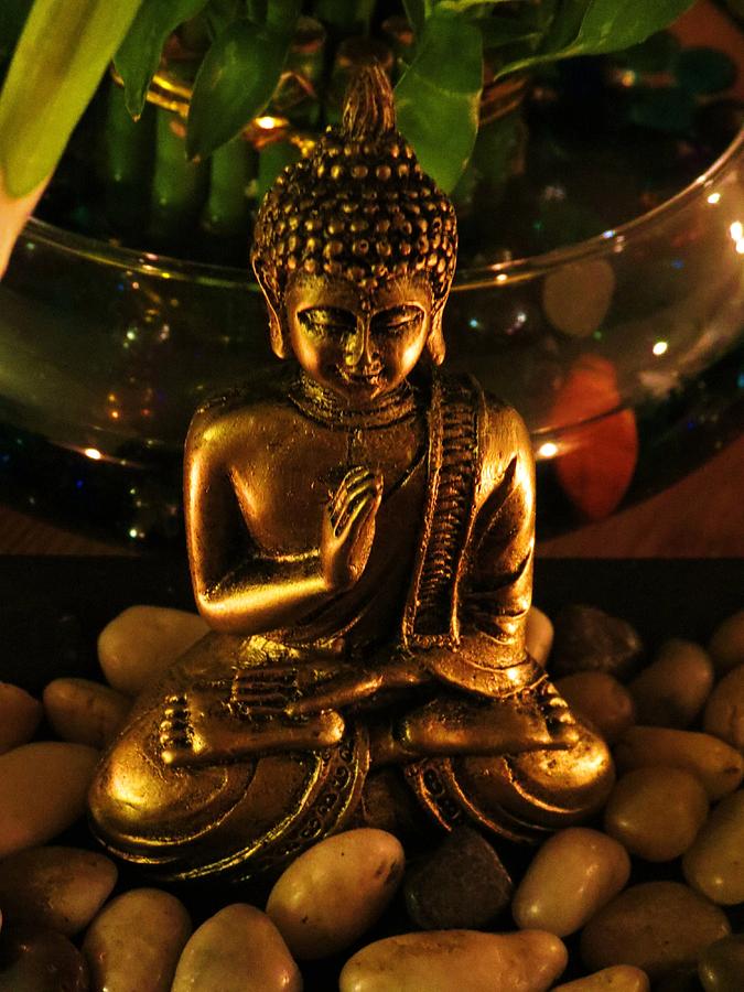 Buddha Blessings Digital Art by Vijay Sharon Govender