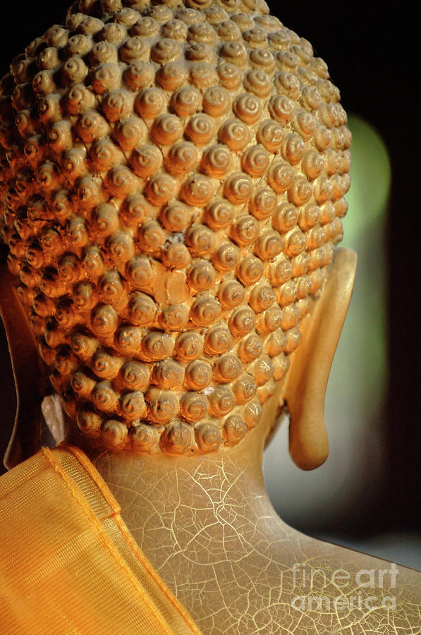Buddha Detail 2 Photograph by Bob Christopher