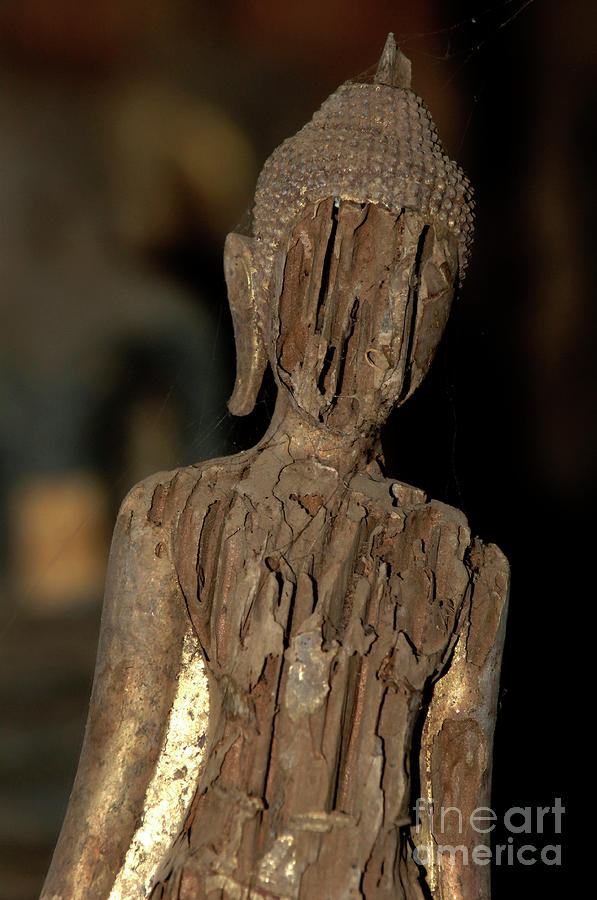 Buddha Figure 4 Photograph by Bob Christopher