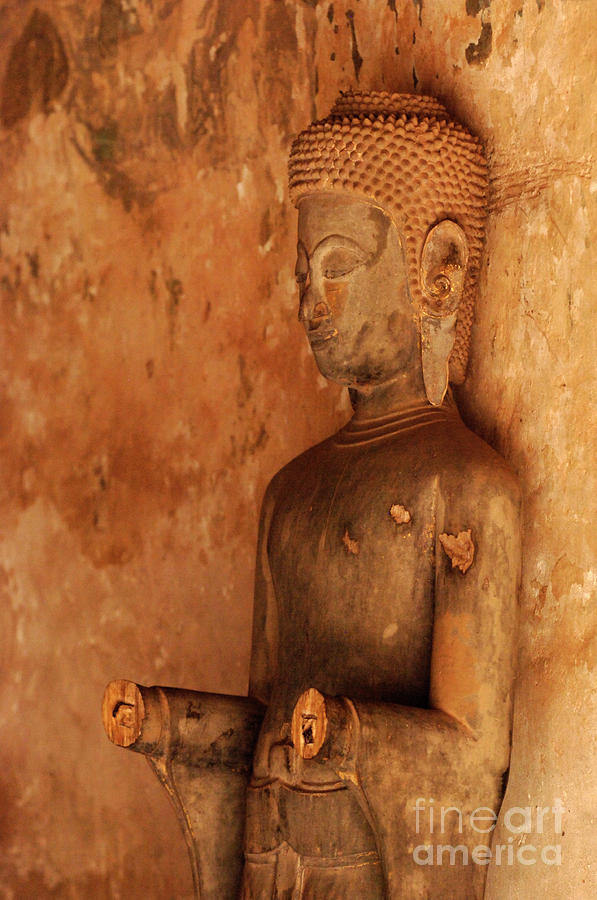 Buddha Figure Photograph by Bob Christopher