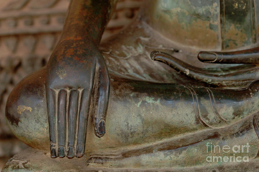 Buddha Hand Detail Photograph by Bob Christopher