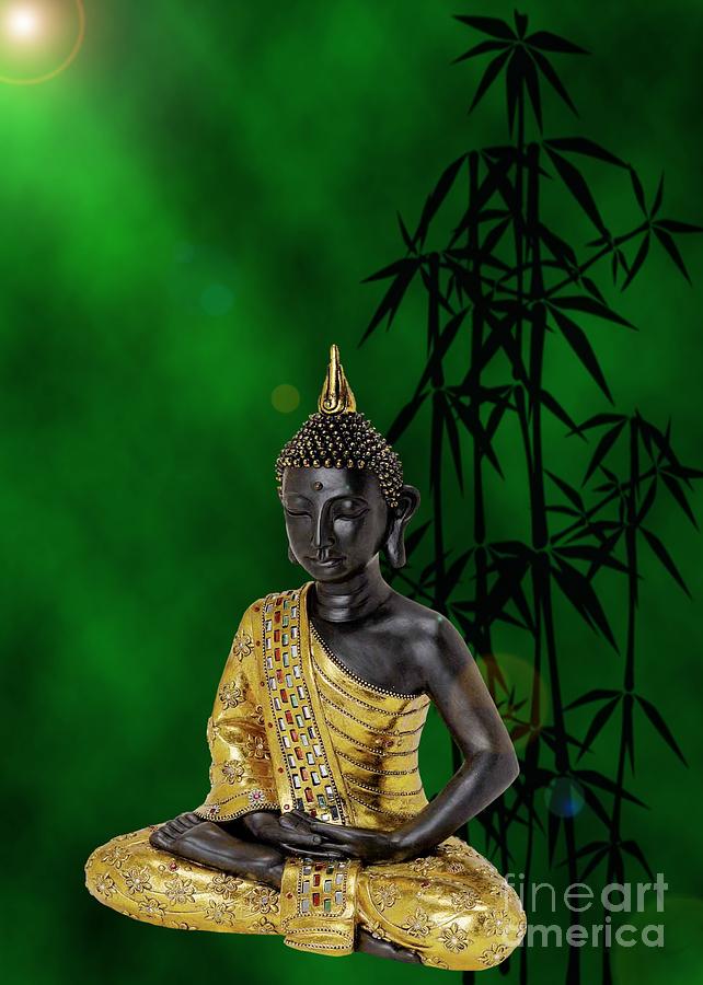 buddha knowledge
