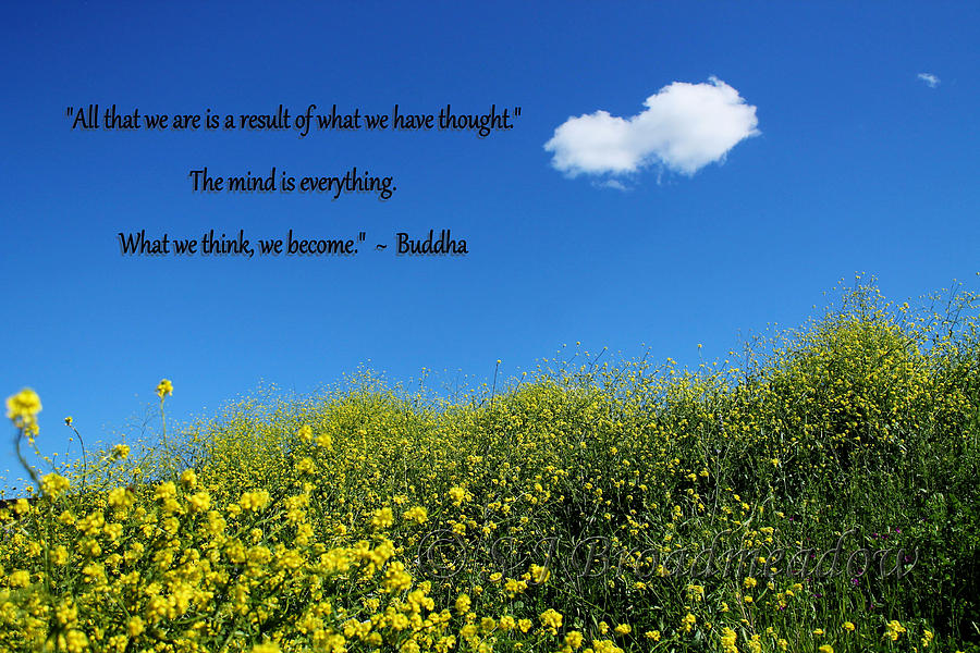 Buddha Photograph - Buddha Quote on Blue Sky With Puffy White Cloud by Sarah Broadmeadow-Thomas