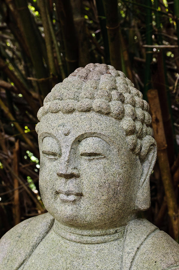 Buddha Side Photograph by Alex Rios - Fine Art America