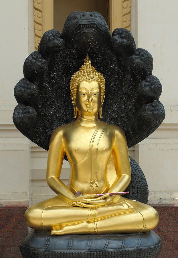 Buddha Statue Photograph by David Foster