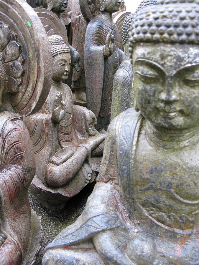 Buddhas2 Photograph by Brian Sereda