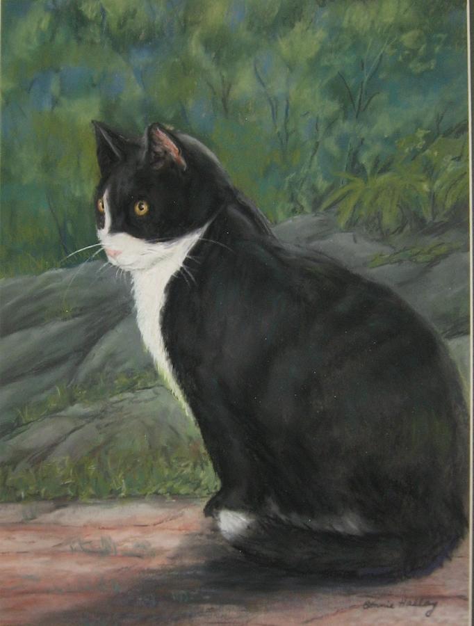 Cat Painting - Buddy by Bonnie Hallay