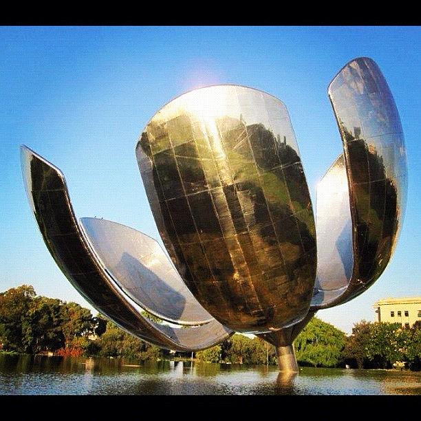 Flowers Still Life Photograph - #buenosaires #palermo #floralis by Alon Ben Levy