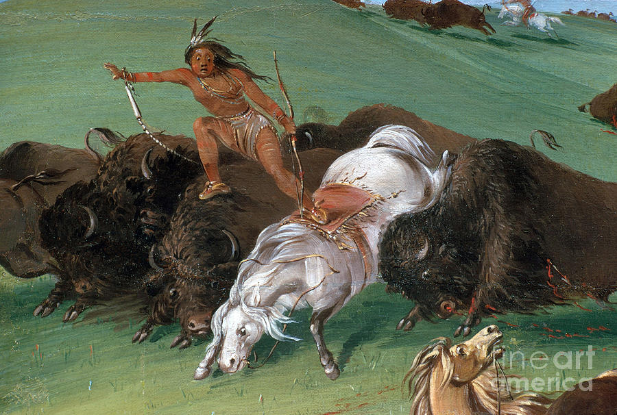 George Catlin Photograph - Buffalo Chase by Photo Researchers